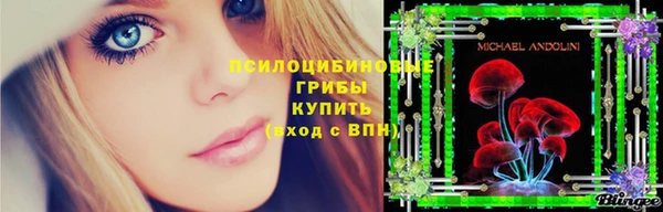 ешки Балахна